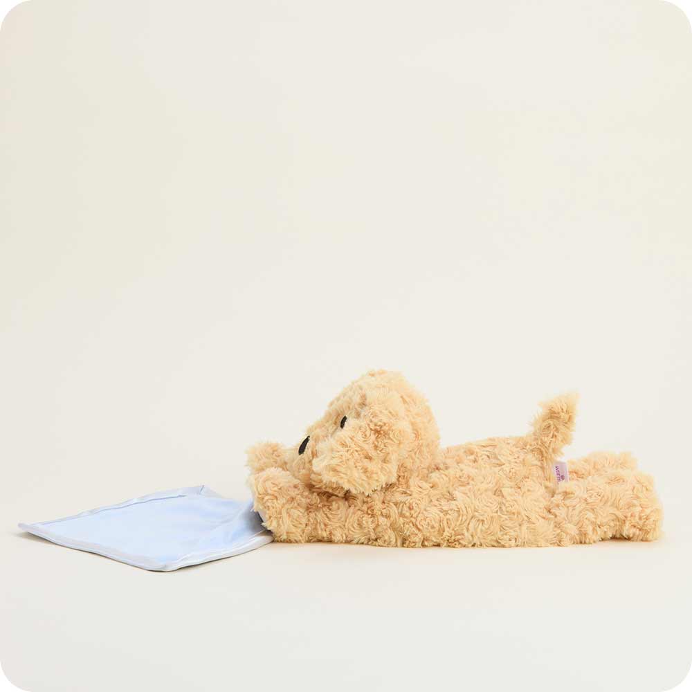 Golden Dog Blankie Warmies - Image 5